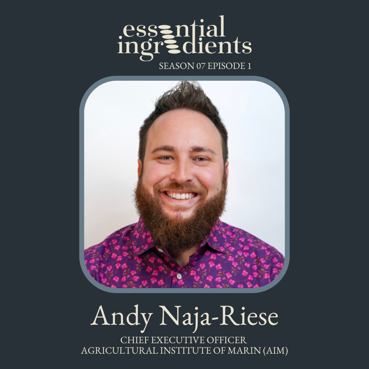 Andy Naja-Riese